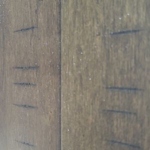 Meet your Posher, Fidan